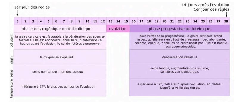 Troubles du cycle menstruel - Efficacité de la Médecine Chinoise ...